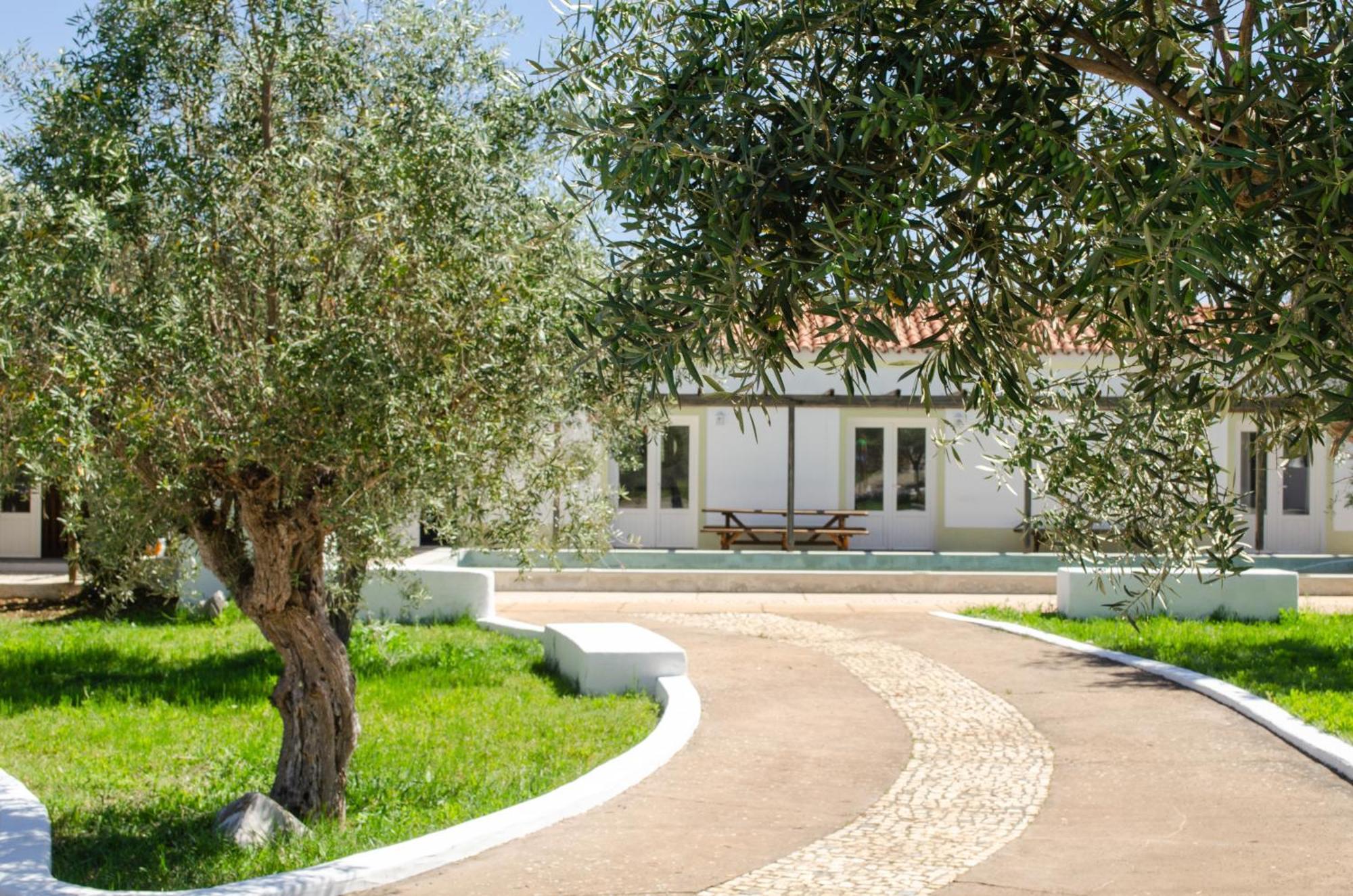 Monte Das Oliveiras - Casas De Campo Эштремош Экстерьер фото