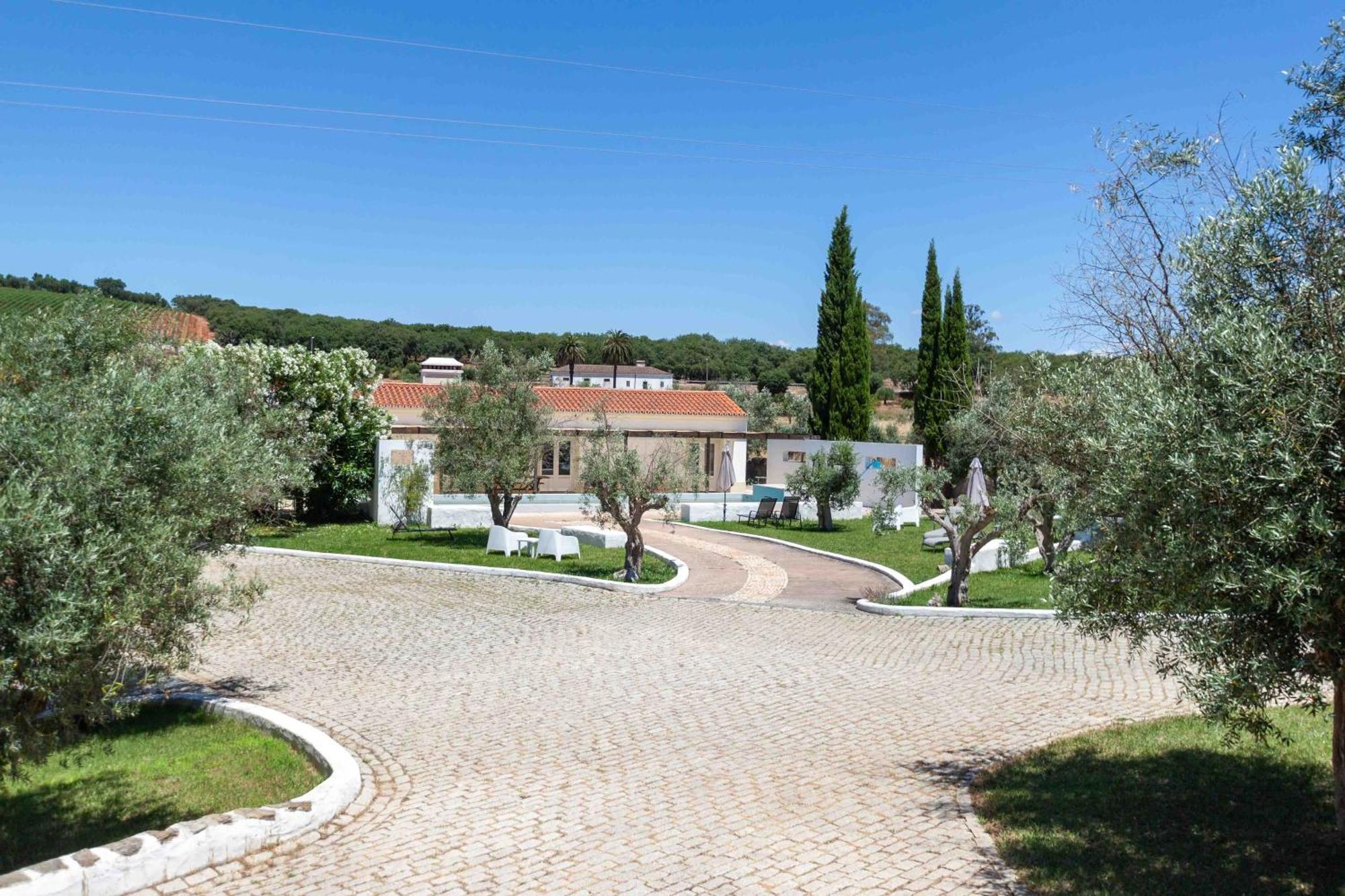 Monte Das Oliveiras - Casas De Campo Эштремош Экстерьер фото